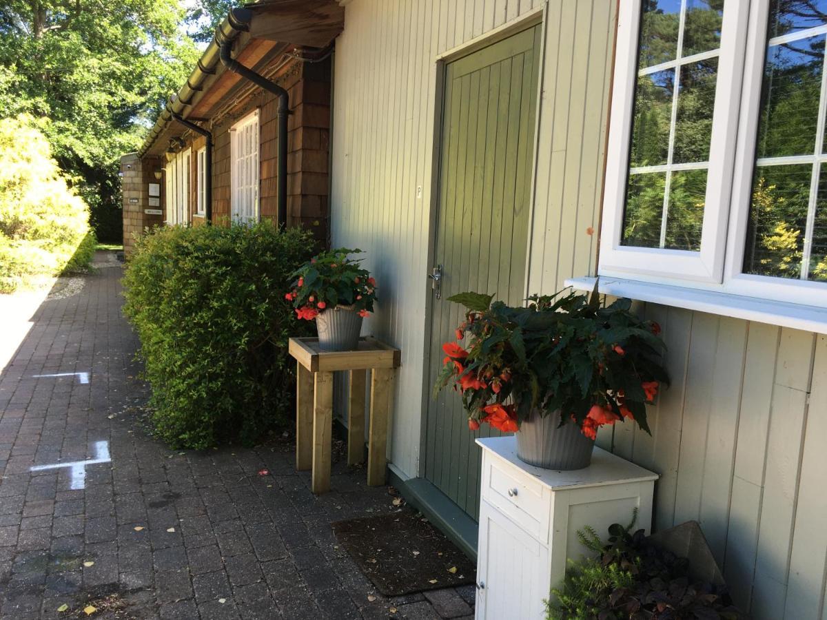 Petherton Cottage Studios 링우드 외부 사진