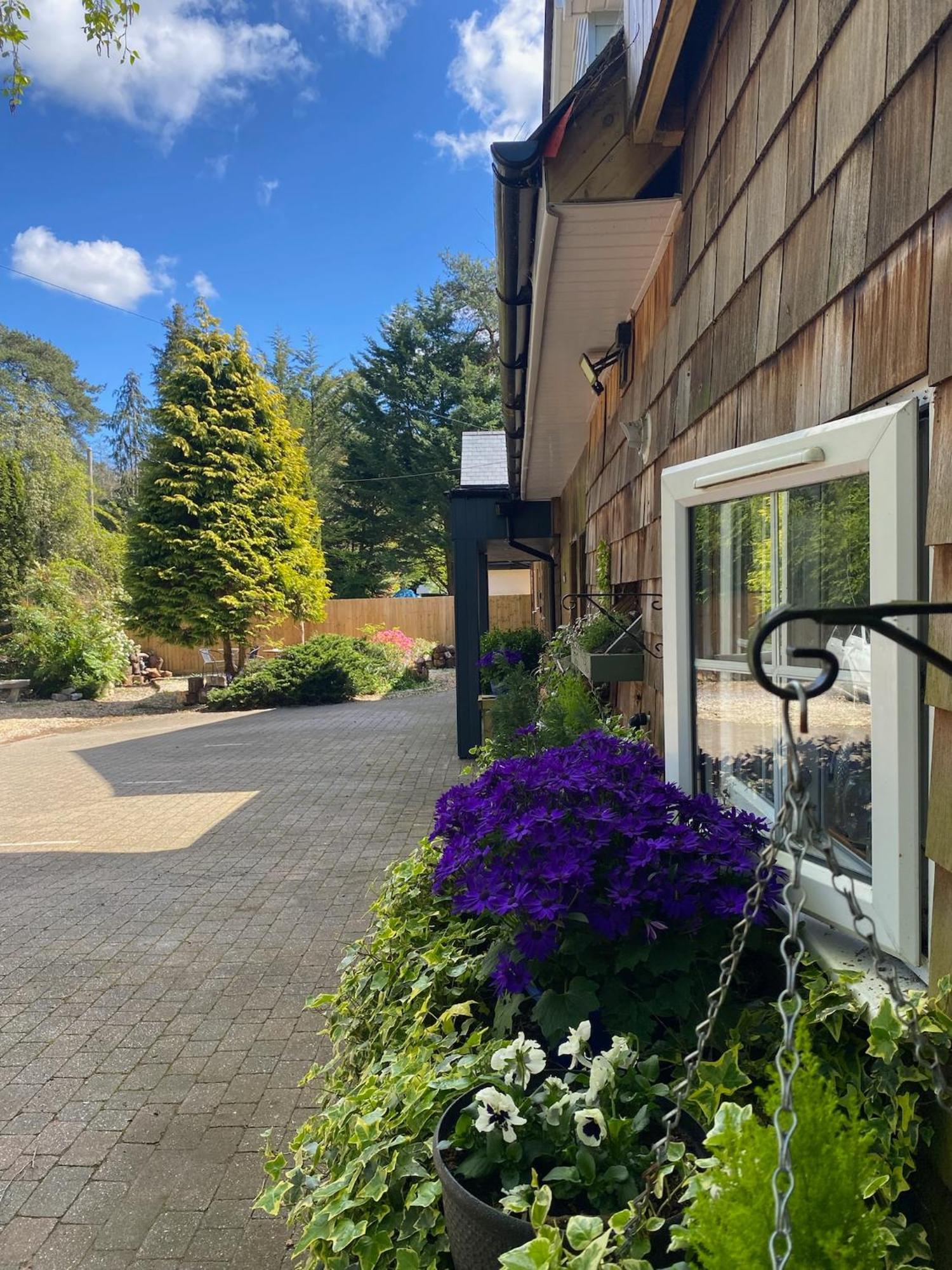 Petherton Cottage Studios 링우드 외부 사진